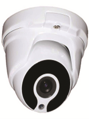 Dome camera 2.0MP@30FPS 3.6mm lens