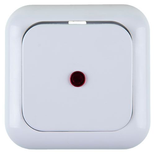 Illuminated Euro button