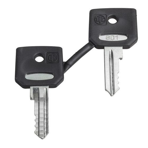 455 Set of 2 keys